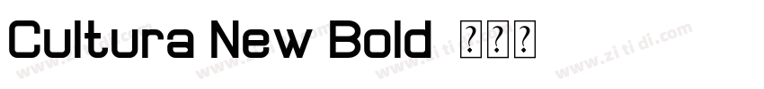 Cultura New Bold字体转换